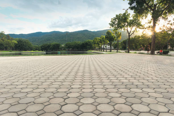 Best Residential Driveway Paver Services  in Jonesborough, TN